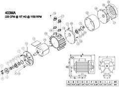 Tête seule pompe vacuum 403MAFTS 105CFM 1140RPM "FLOOD" CCW 4031-002 4 VANES (Pièces) - Airablo