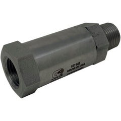 Filtreur de jet 1/2" FPT * 1/2" MPT 5000PSI SS - Airablo